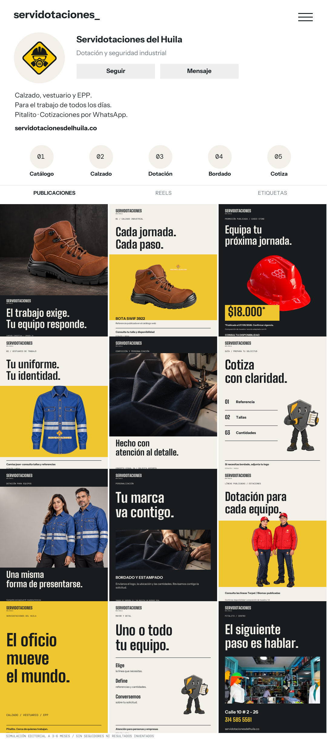 Simulación de Instagram: Precisión industrial, doce publicaciones